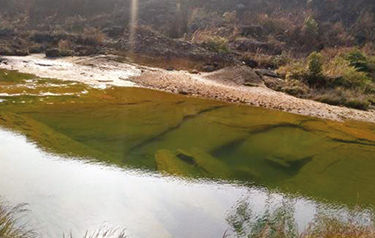 Lukha River decontamination