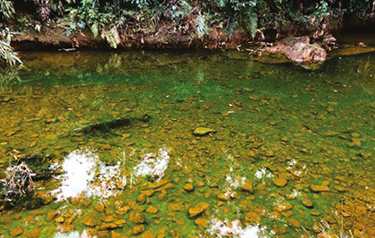 Lukha River decontamination