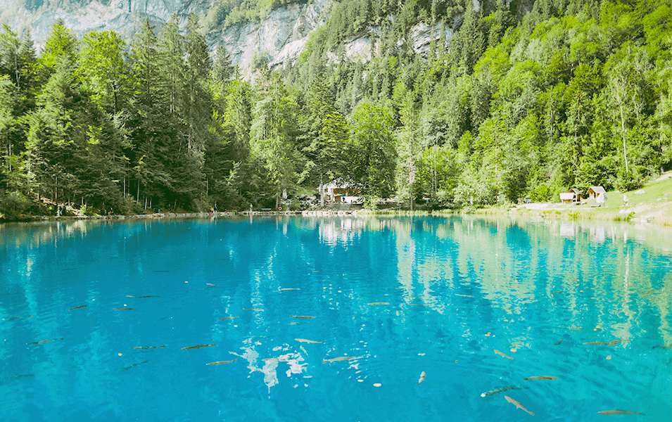 about titan builders photo